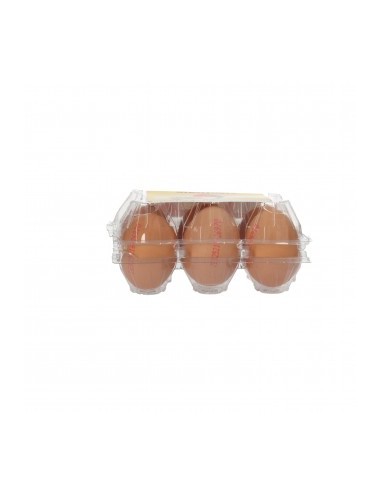 HUEVOS "L" 6U