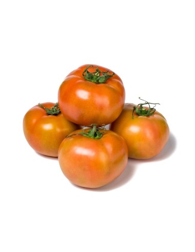 TOMATE VERDE
