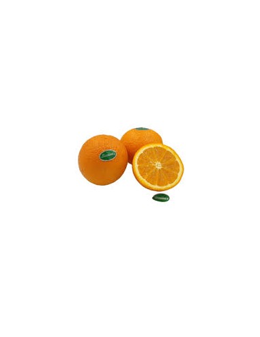 NARANJAS GRANEL
