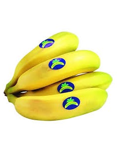 PLATANOS