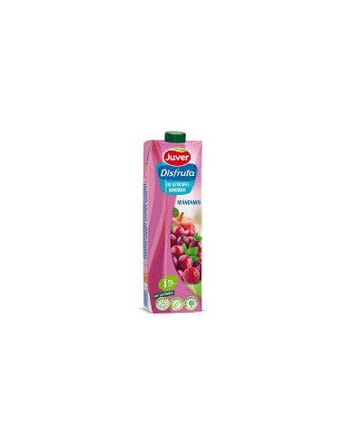 ZUMO ARANDANOS S/AZ JUVER 1L