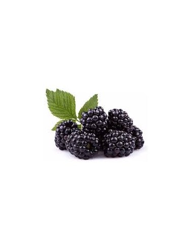 MORAS BANDEJA 125G