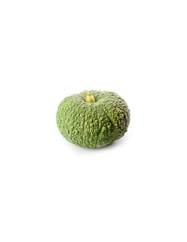 CALABAZA TOTANA