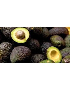 AGUACATE HASS