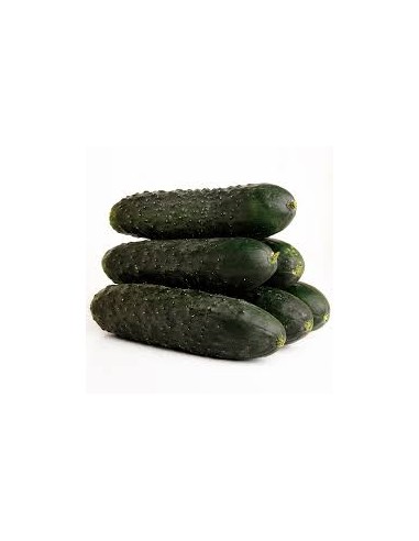 PEPINOS