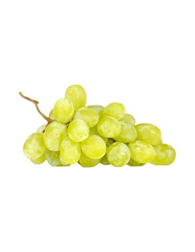 UVA BLANCA 
