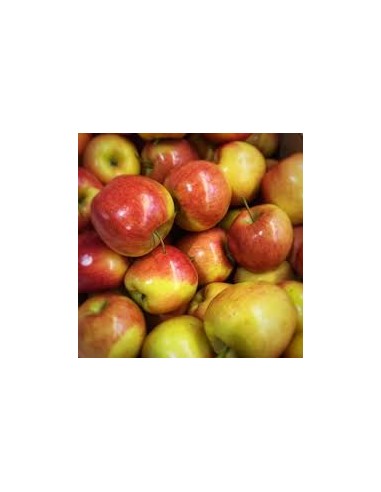 MANZANA RIVOIRA