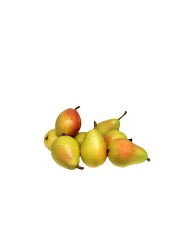 PERA ERCOLINA