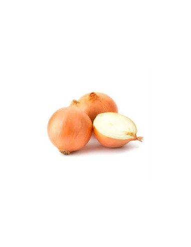 CEBOLLAS BLANCAS