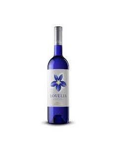 VINO LOVELIA CALVENTE 2024 75CL