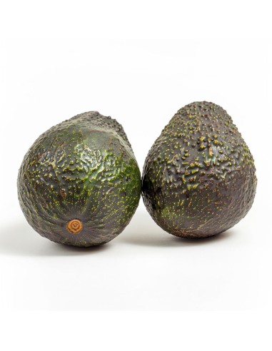 AGUACATE HASS
