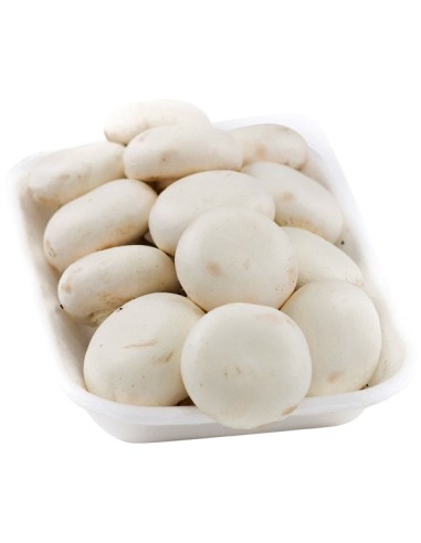 CHAMPIÑON ENTERO FRESCO