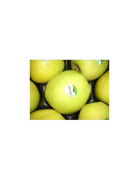 MANZANA PERLIM