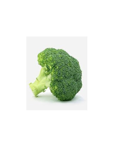 BROCOLI FRESCO 500G