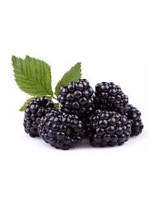 MORAS BANDEJA 125G 2