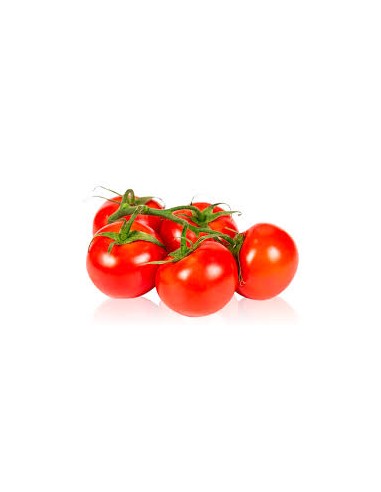 TOMATE RAMA