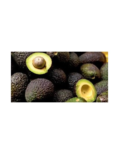 AGUACATE HASS