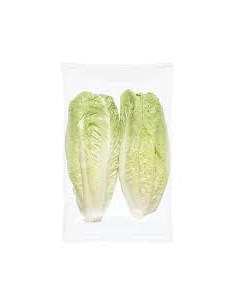 LECHUGAS LARGAS 2U 2