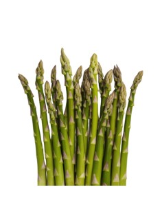 ESPARRAGOS MANOJO 2