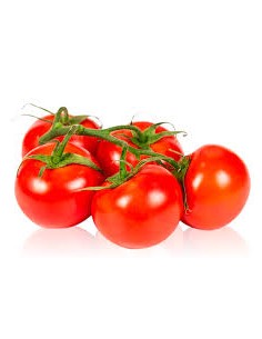 TOMATE RAMA 2