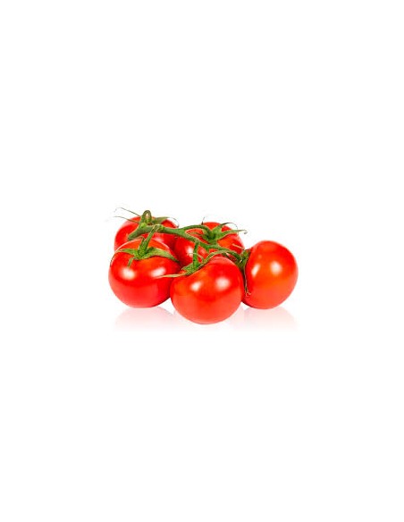 TOMATE RAMA