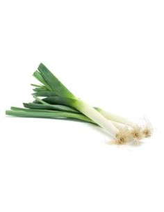 PUERROS FRESCOS 2