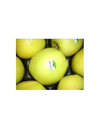MANZANA PERLIM