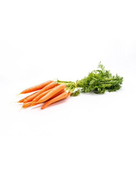 ZANAHORIAS FRESCAS GRANEL