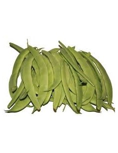 JUDIAS FRESCAS GRANEL 2