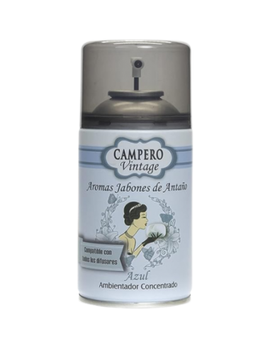AMBIENTADOR CAMPERO VINTAGE SP/250ML